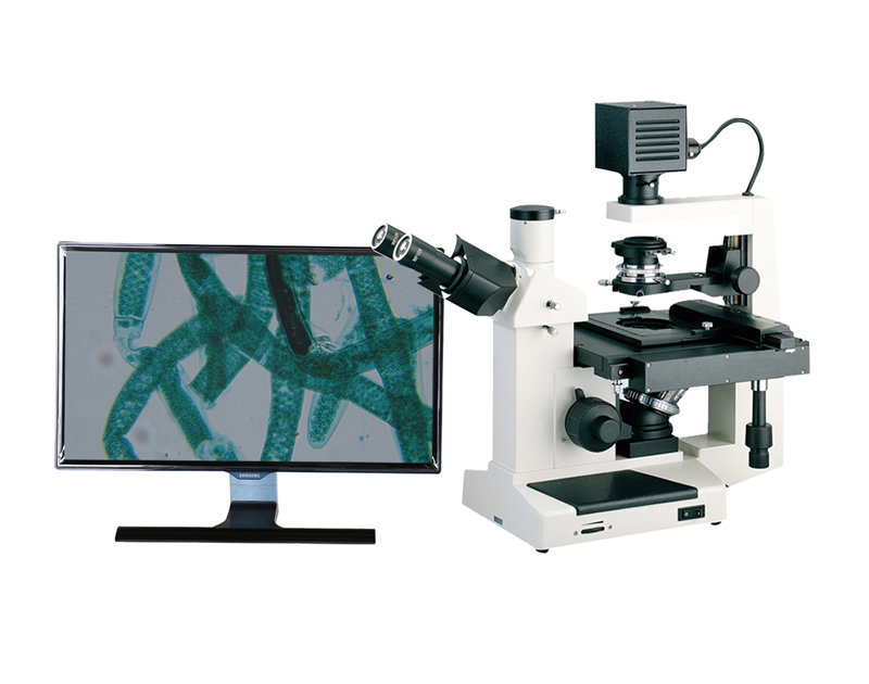 倒置生物顯微鏡 SGO-PH300